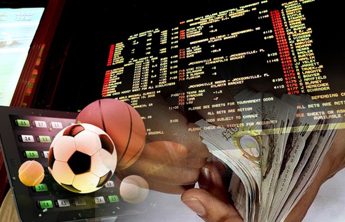 Exploring the World of Online Betting with Dafabet 14